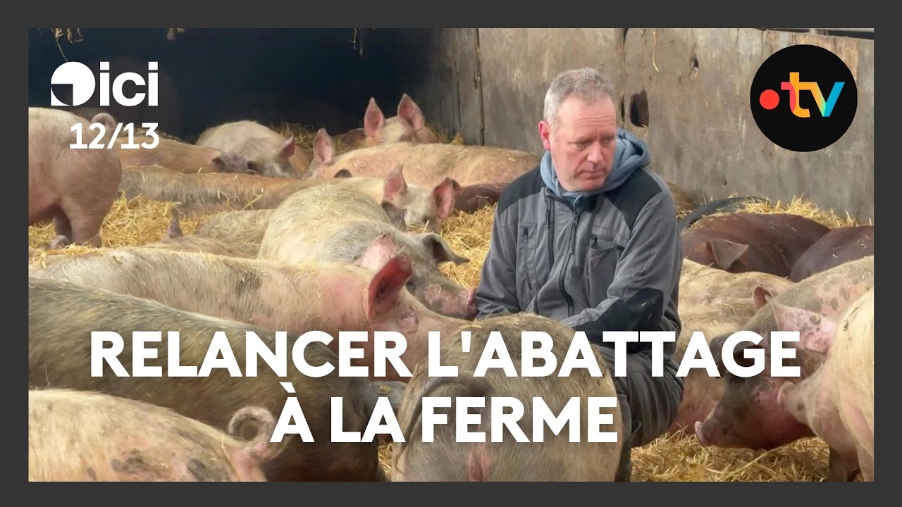 Relancer l'abattage à la ferme : un projet unique en France porté par cet agriculteur