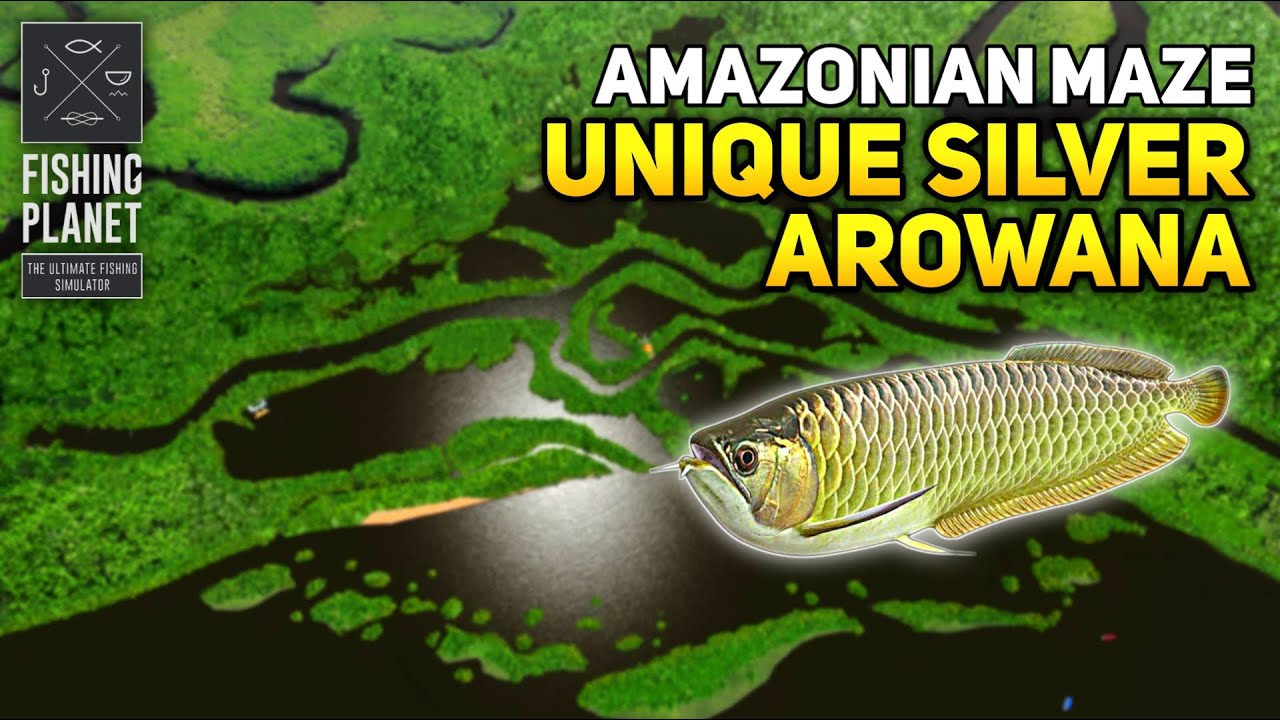 Unique Silver Arowana Amazonian Maze - Fishing Planet