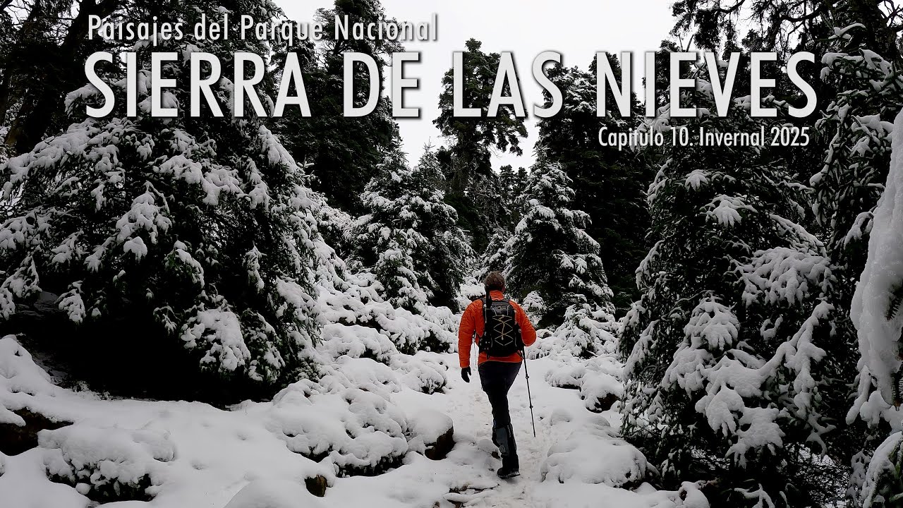 Paisajes del Parque Nacional Sierra de las Nieves, Capitulo 10. Invernal 2025, Cañada del Cuerno...