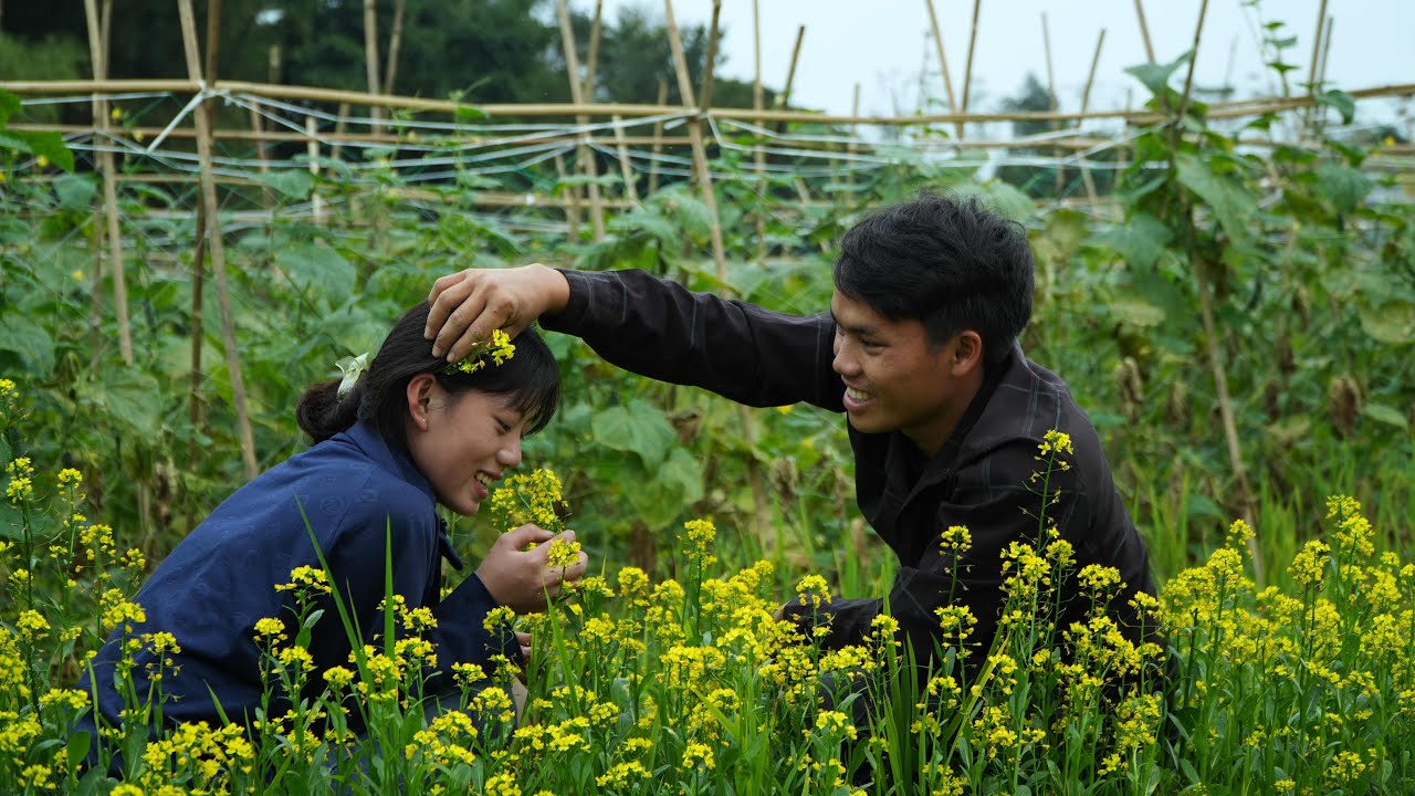 Picking rapeseed flowers in the cucumber garden: Pao meets Thu after days of missing her