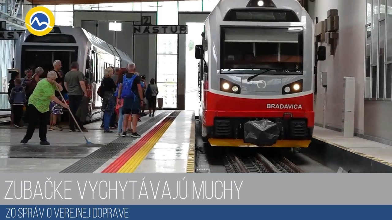 Zubačke vychytávajú muchy 6.7.2022
