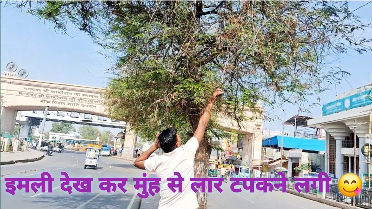 कच्ची इमली खाने में मजा ही आ गया ll kacchi imali ll imali dekh ke munh mein Pani a Gaya ll