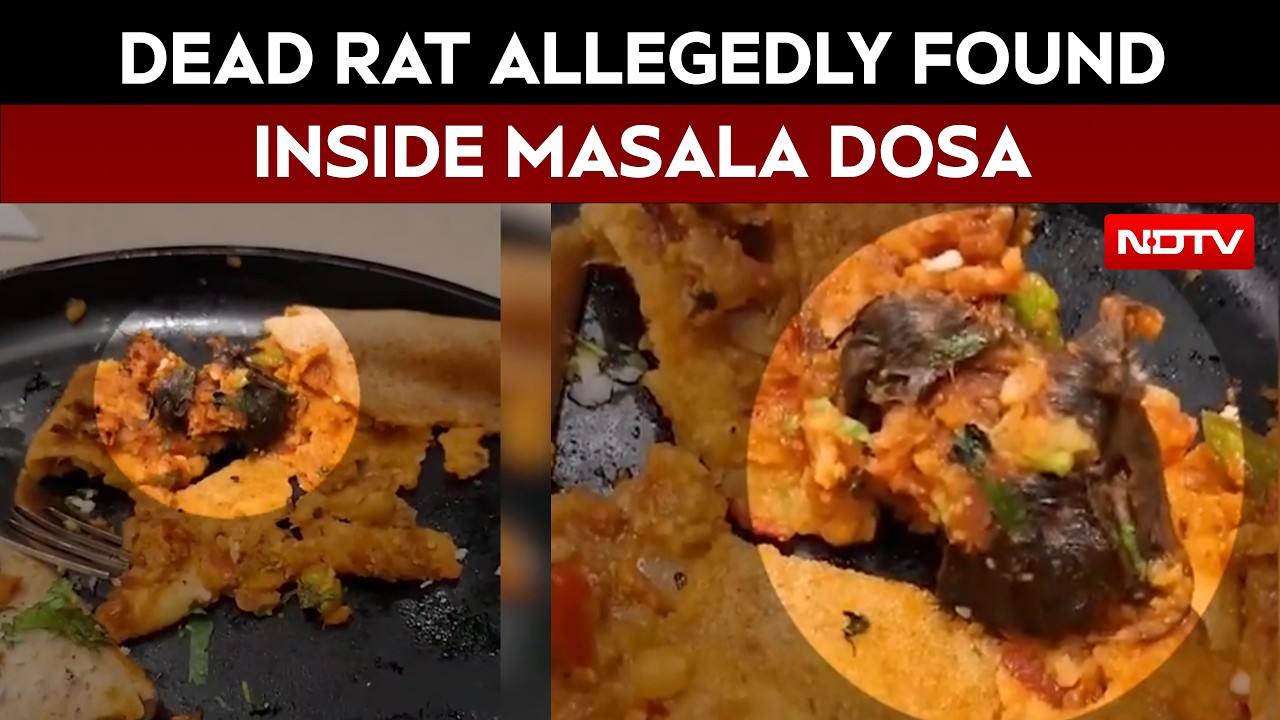 MasalaDosa_543239