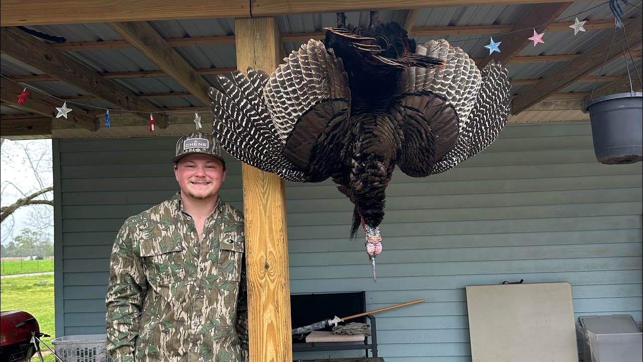 Close hard gobbling turkey!!