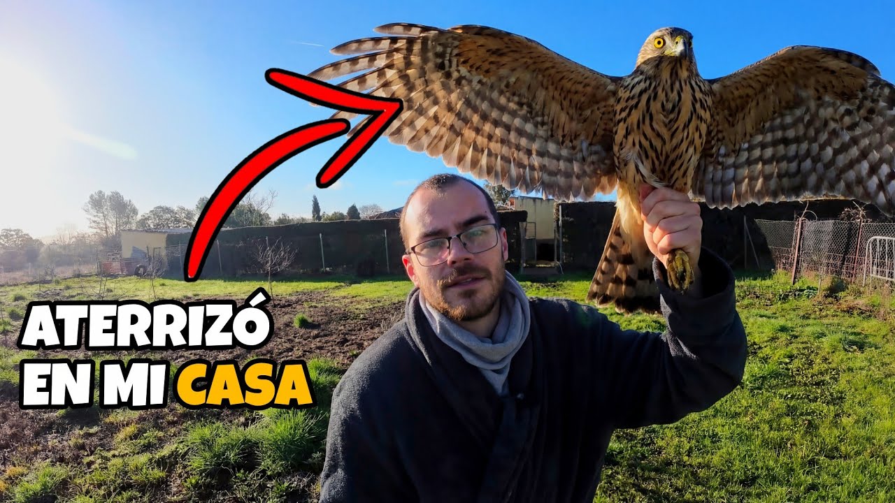 Este ha sido el encuentro con la naturaleza MÁS IMPRESIONANTE que he tenido en mi vida.