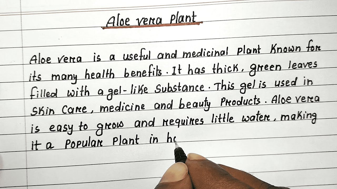 Essay on Aloe Vera | Handwritten English Essay | Aloe Vera Plant Essay