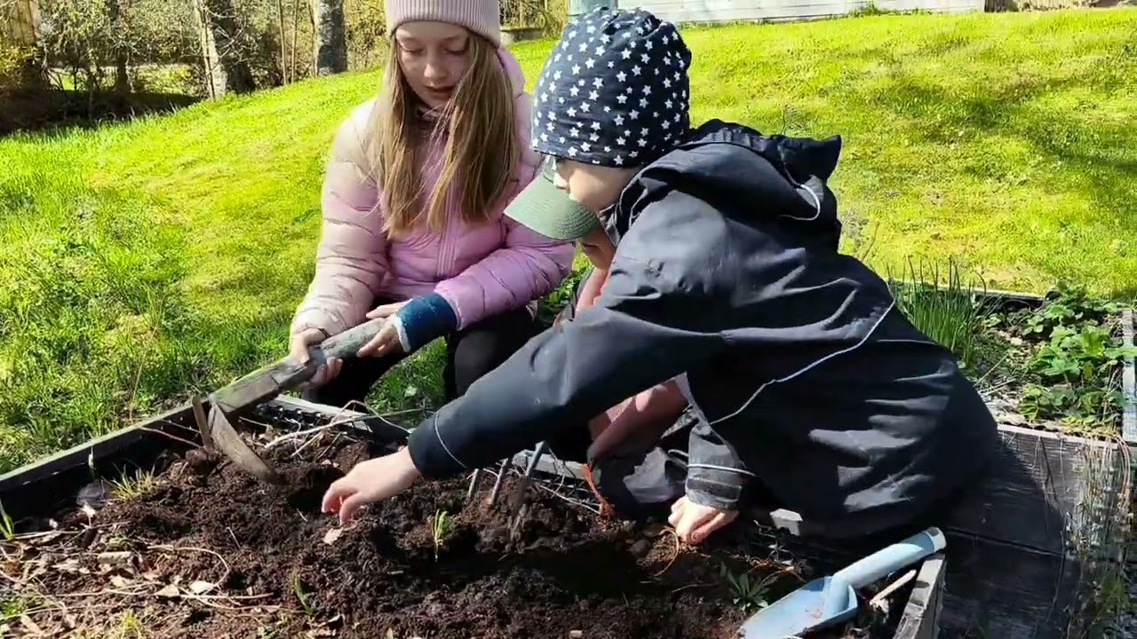 Skolträdgården – en levande lärmiljö