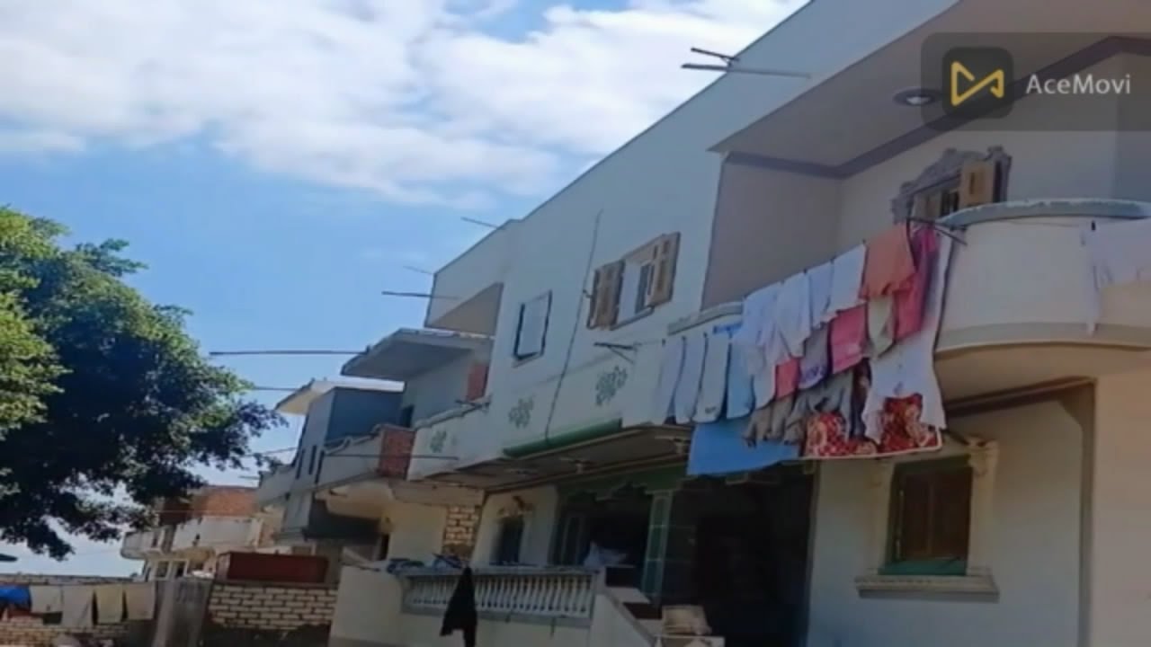 3فدان بحاري النوبارية