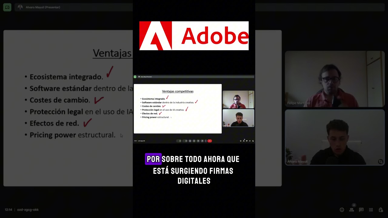 Efecto red Adobe 