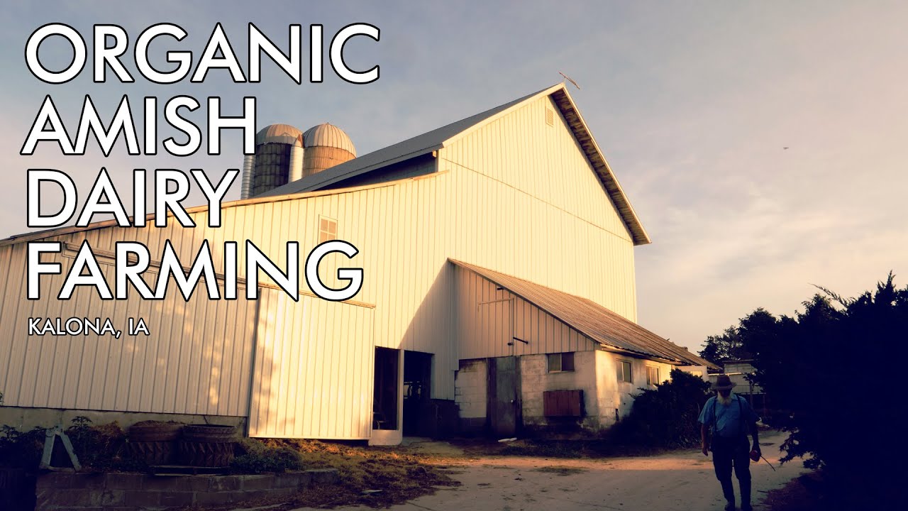 Organic Amish Dairy Farming - Kalona SuperNatural (2019)
