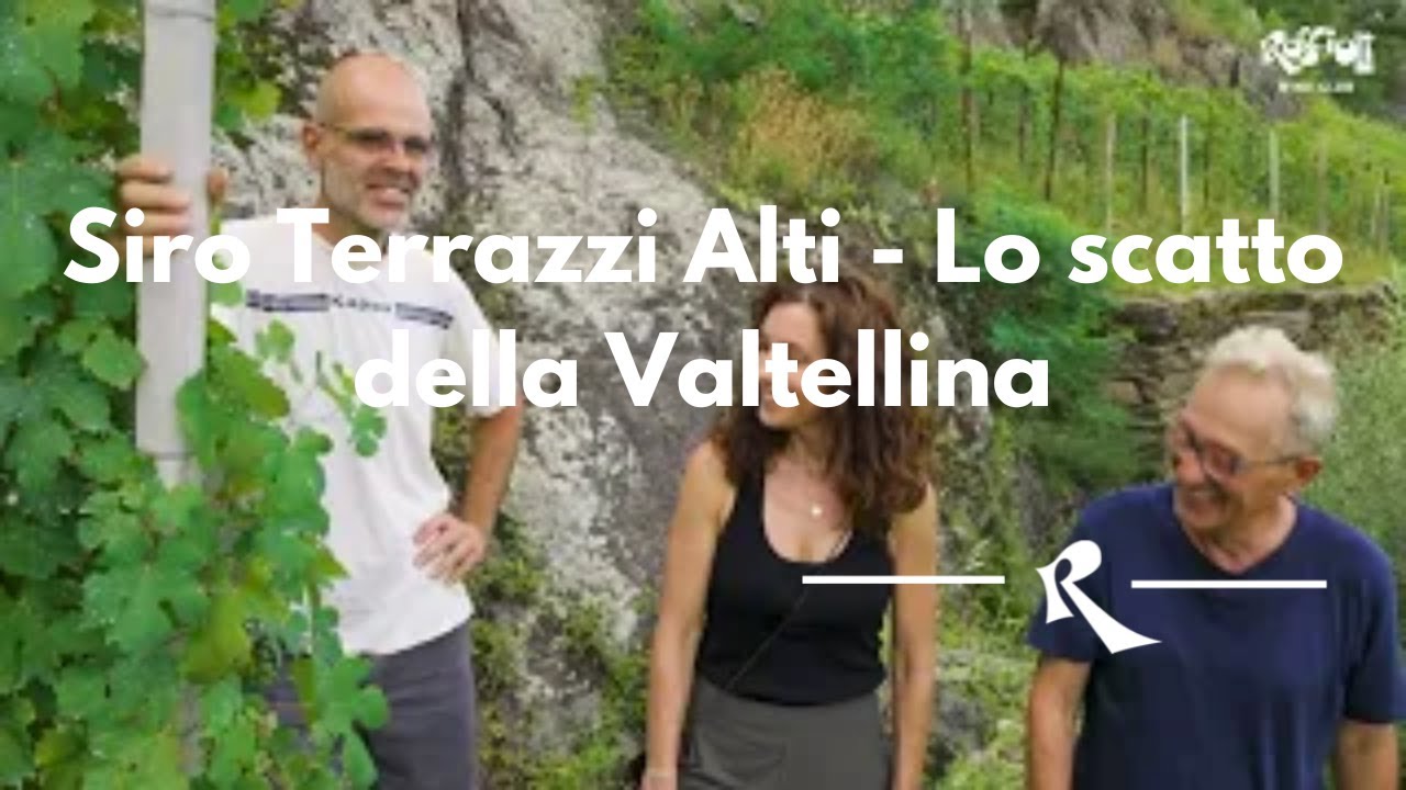 Cantina Siro Terrazzi Alti - Lo scatto della Valtellina