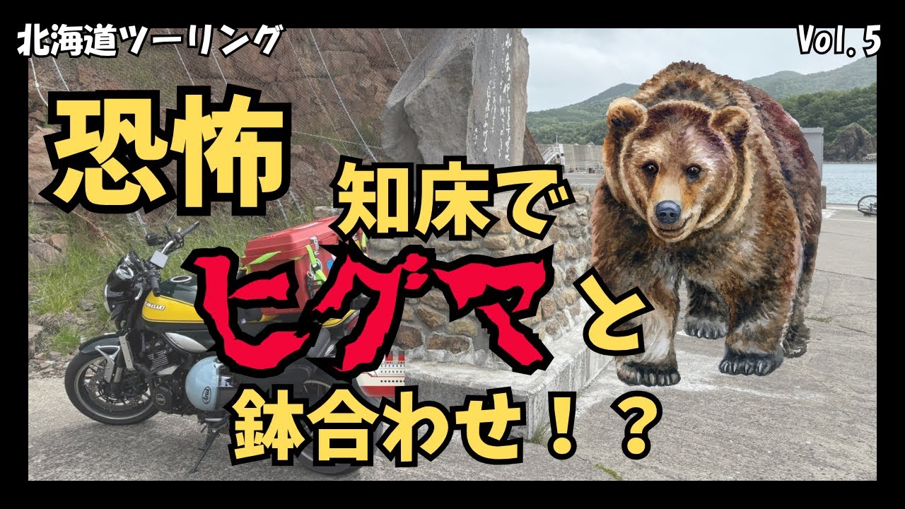 恐怖「ヒグマ」との遭遇｜知床｜北海道ツーリング