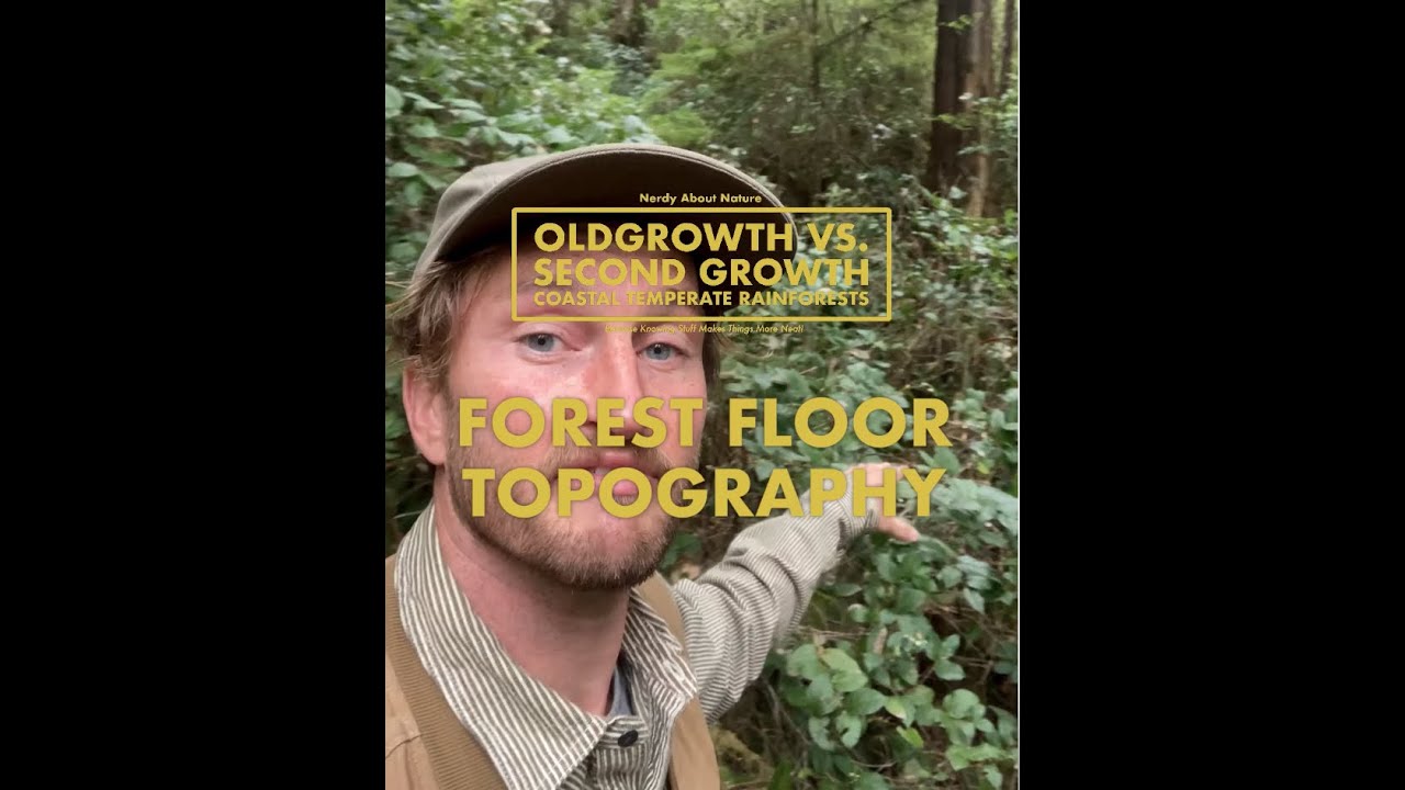Oldgrowth vs Secondgrowth Forests: Forest Floor Topography