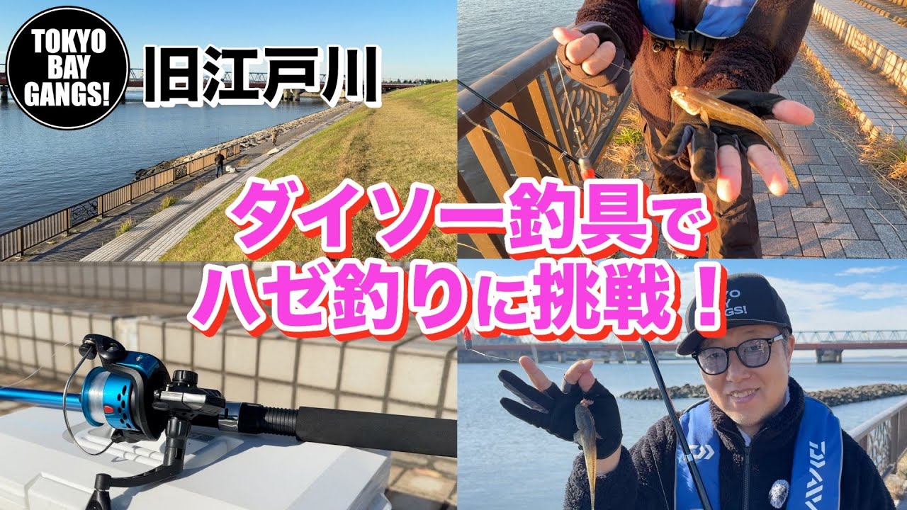 ほんとに釣れるの？？ダイソー釣具でハゼ釣りに挑戦！〜旧江戸川〜