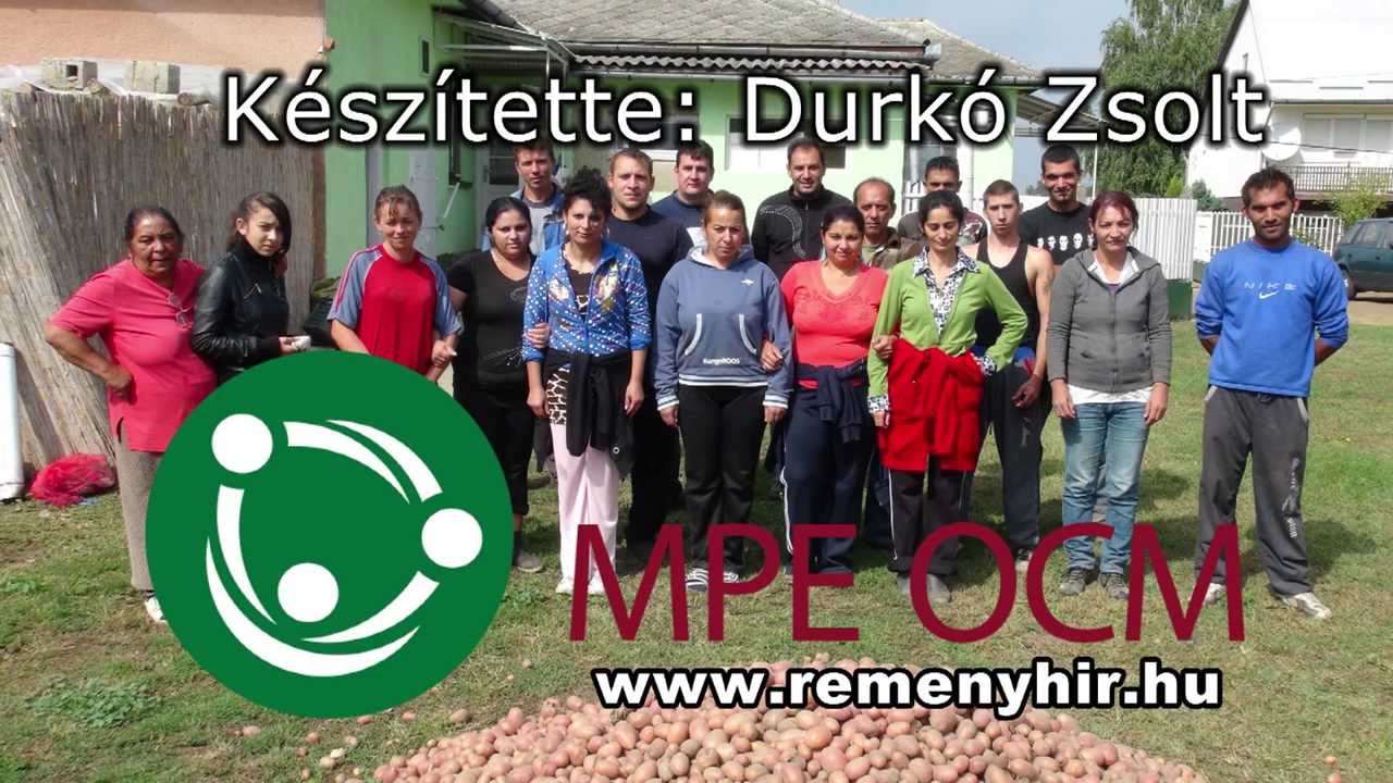 József Program Nyírvasvári
