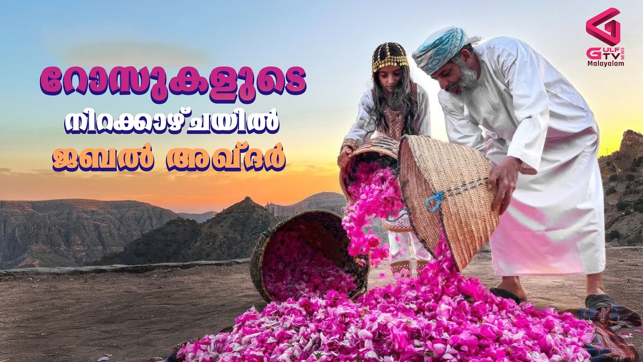 റോസുകളുടെ നിറക്കാഴ്ചയിൽ ജബൽ അഖ്ദർ | Rose Festival in Jabal Akhdar Oman