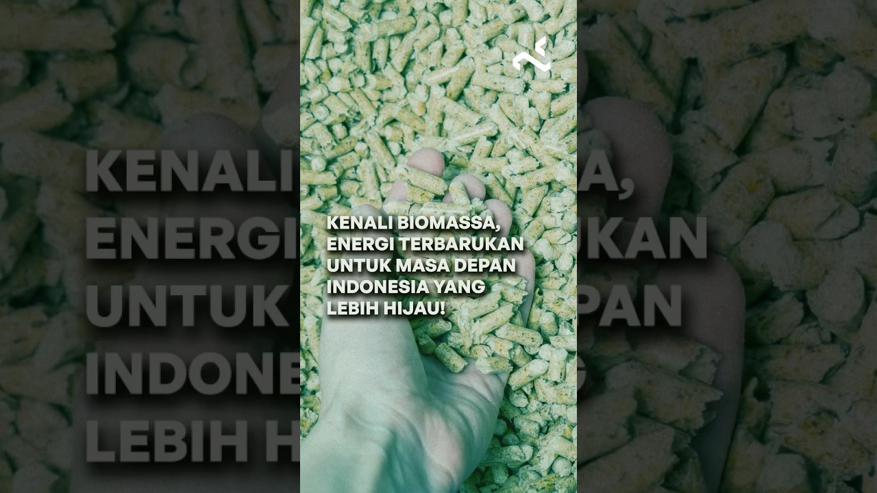 Biomassa? Ini solusi energi masa depan yang bisa bantu kurangi emisi karbon hingga 80%!