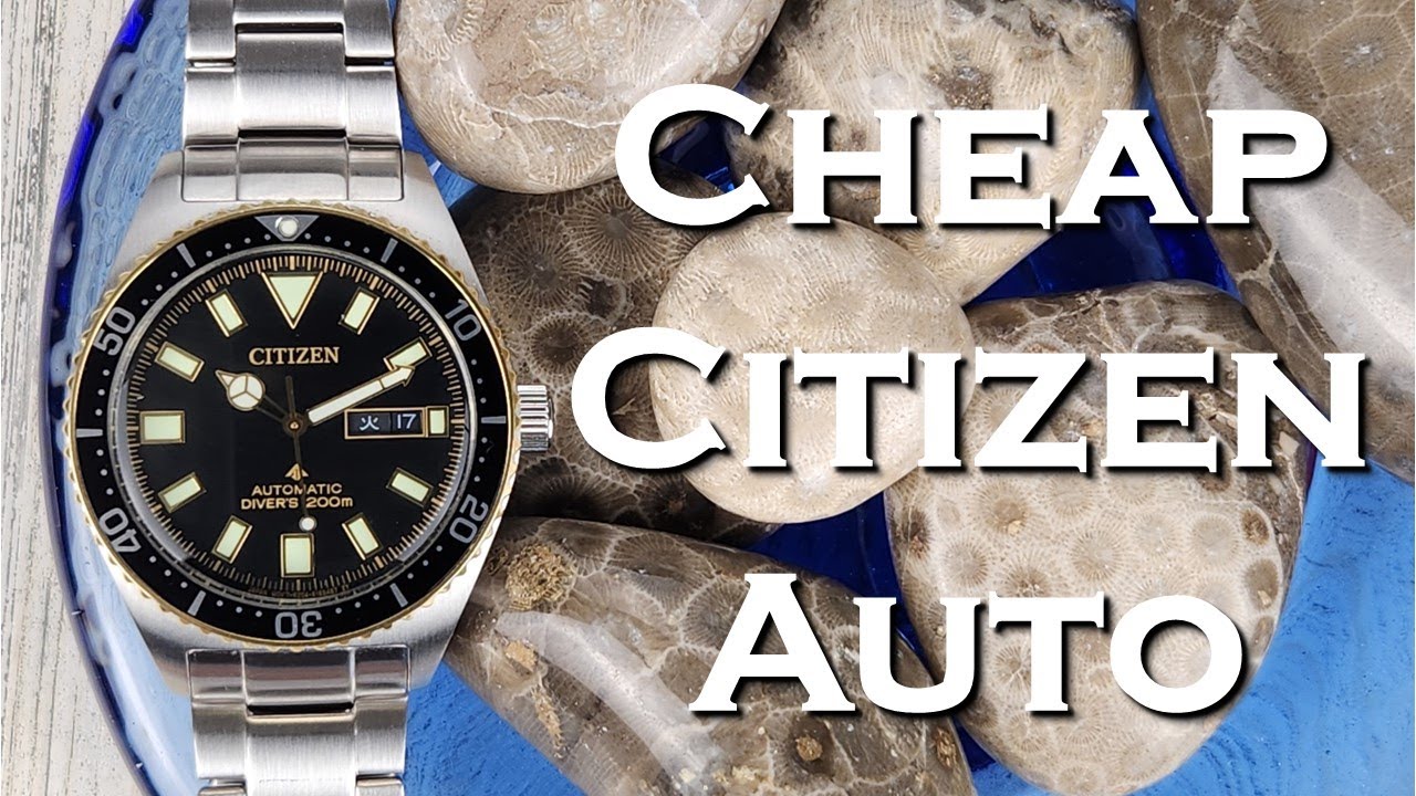 Citizen Promaster NY0125-83E Dive Watch