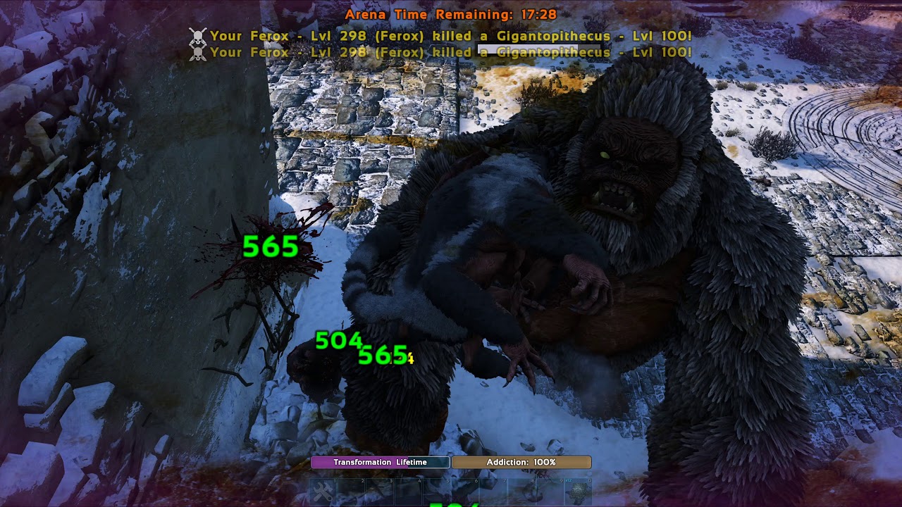 1 Ferox vs Beta Gorilla