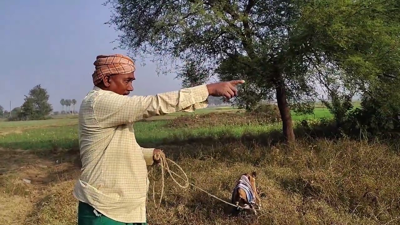 Vlog - 03 | Apna Bihar | Bihar Development | Shahkund | Bhagalpur | Daily Vlog