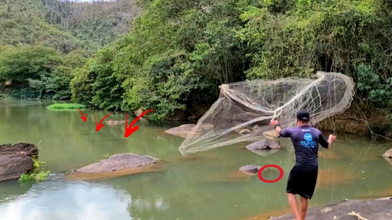 Dava pra ver elas de longe de tão grande... #peixefrito 🔥