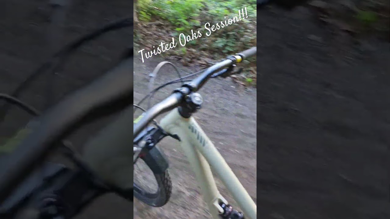 Twisted Oaks new lines are the ones!