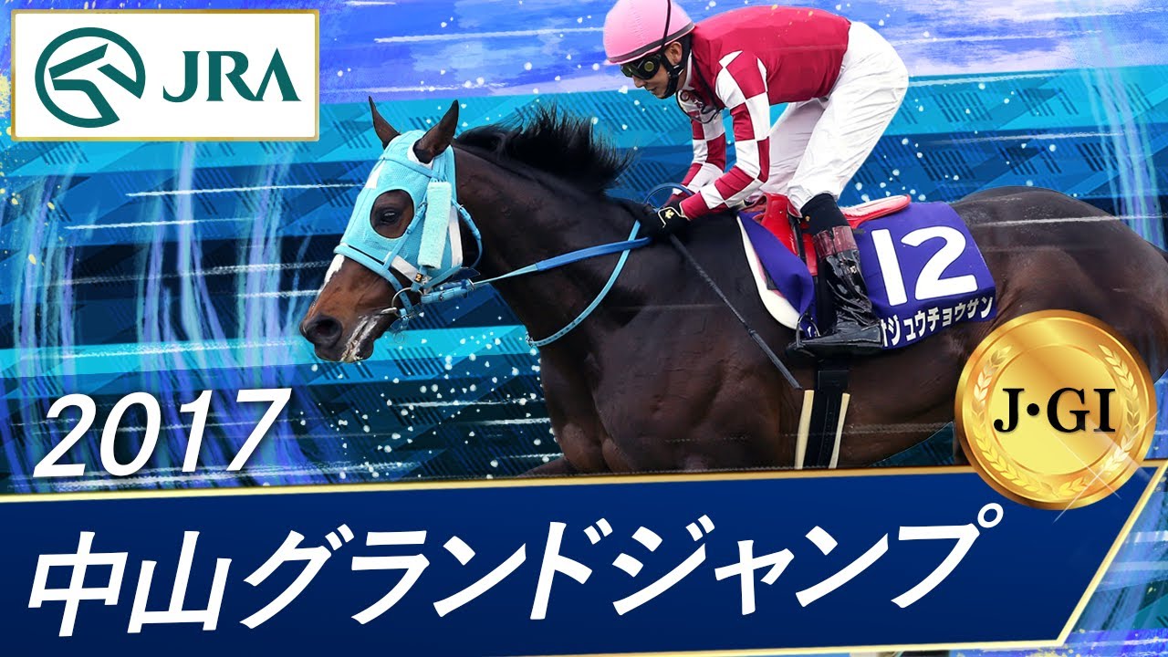 2017年 中山グランドジャンプ（J･GⅠ） | オジュウチョウサン | JRA公式