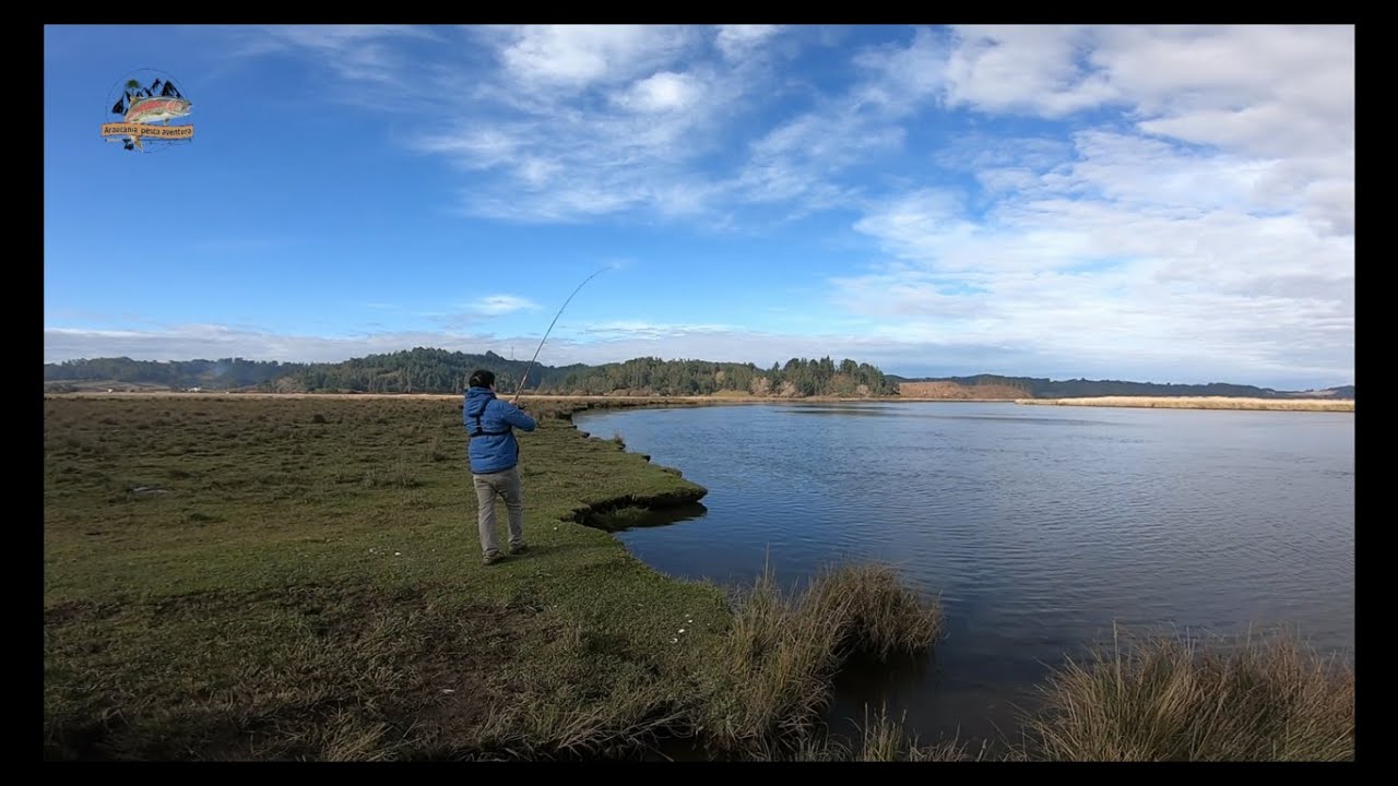 Pescando en Marea Baja //Robalos de la Araucanía// Chomio