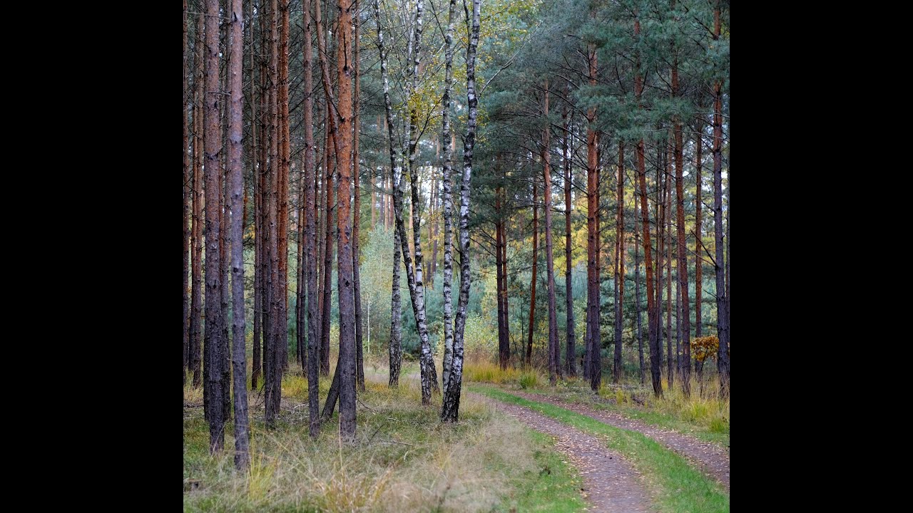 JESIENNY WALC/słowa:Miroslav Božičko 