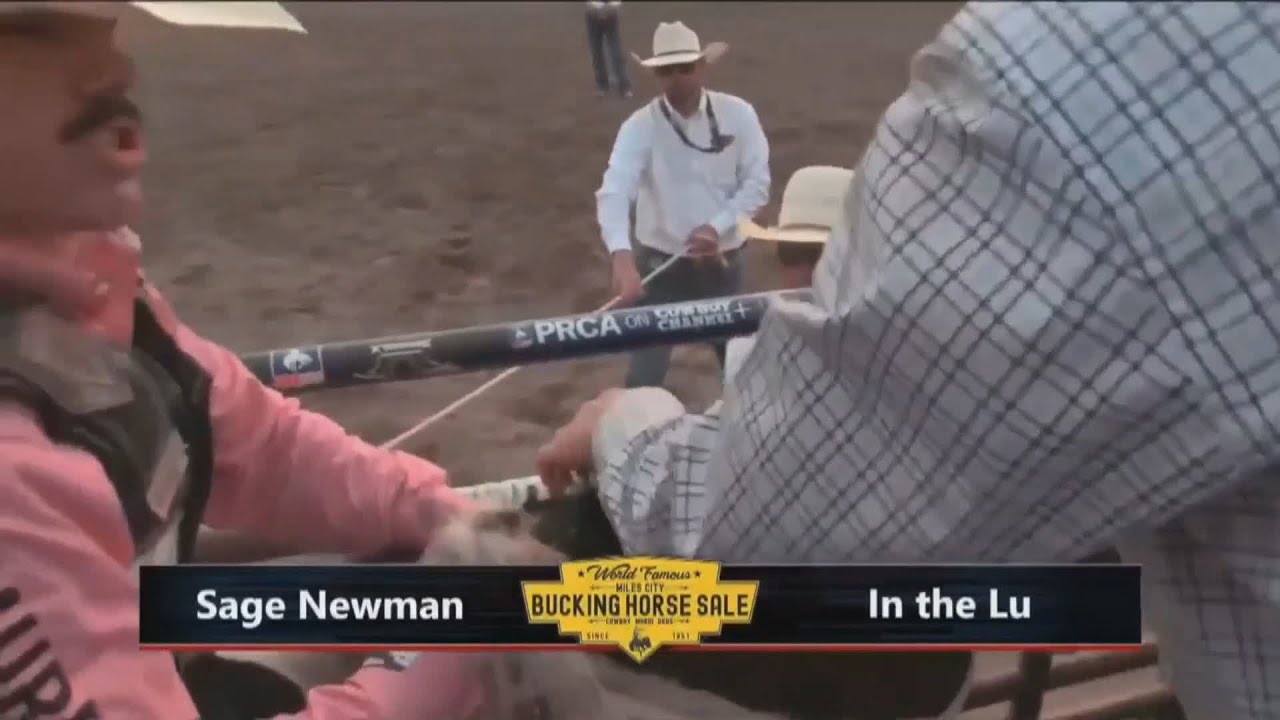 Sage Newman | 2023 Miles City Bucking Horse Sale