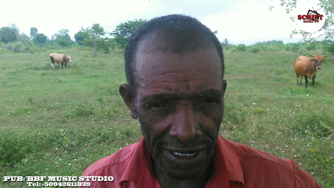 Agriculture, le secteur négligeable à Dumas Nord-est Haïti.