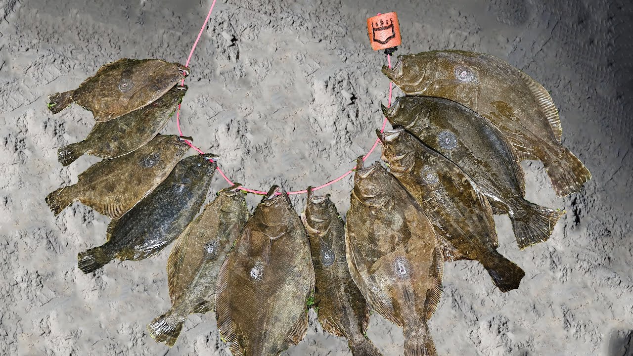 TEXAS Flounder Gigging Season Opens Back Up
