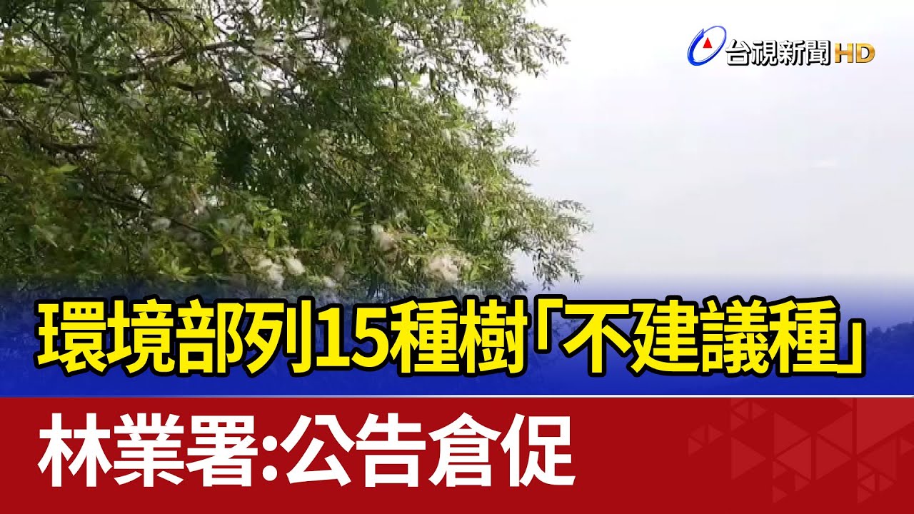 環境部列15種樹「不建議種」 林業署：公告倉促