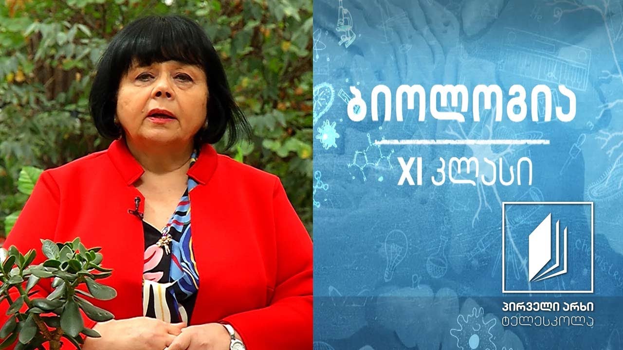 ბიოლოგია XI კლასი - არამემკვიდრული ანუ მოდიფიკაციური ცვალებადობა #ტელესკოლა