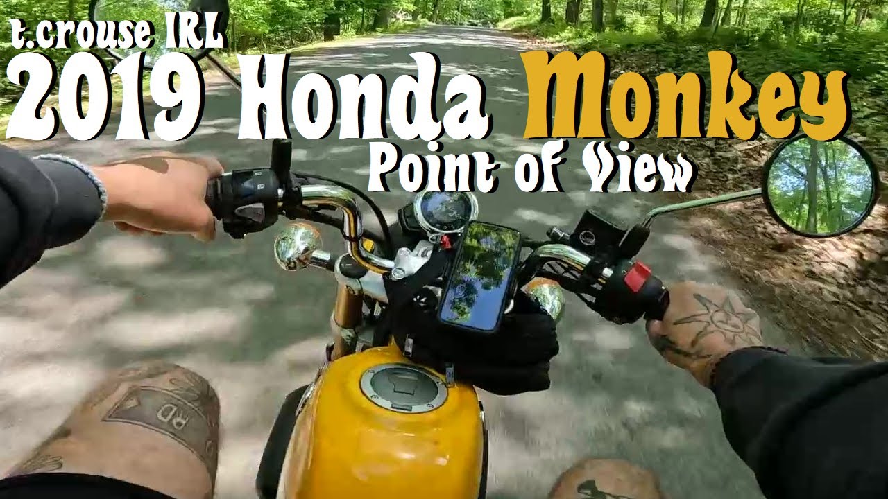 2019 Honda Monkey POV - t.crouse IRL