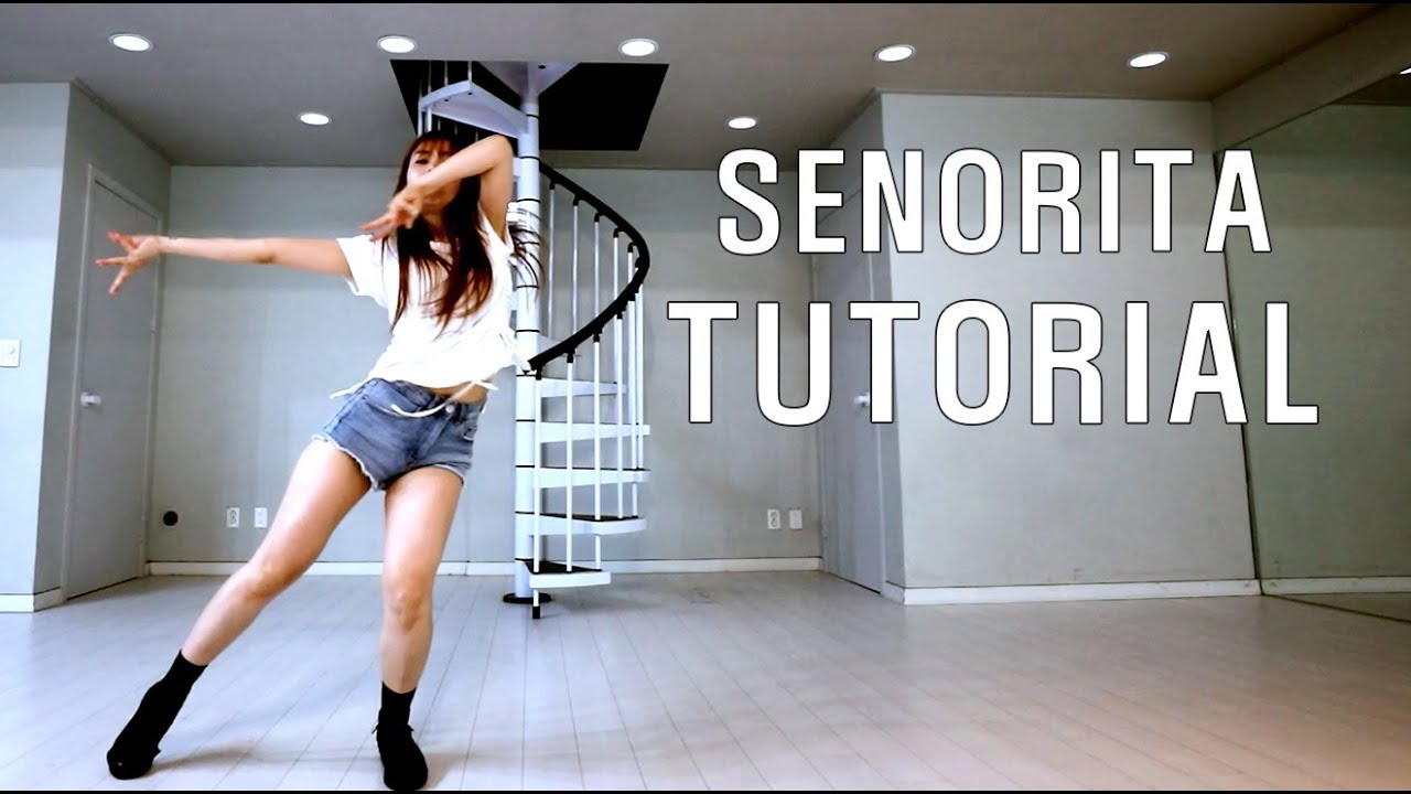 SENORITA DANCE TUTORIAL MIRRORED SLOW