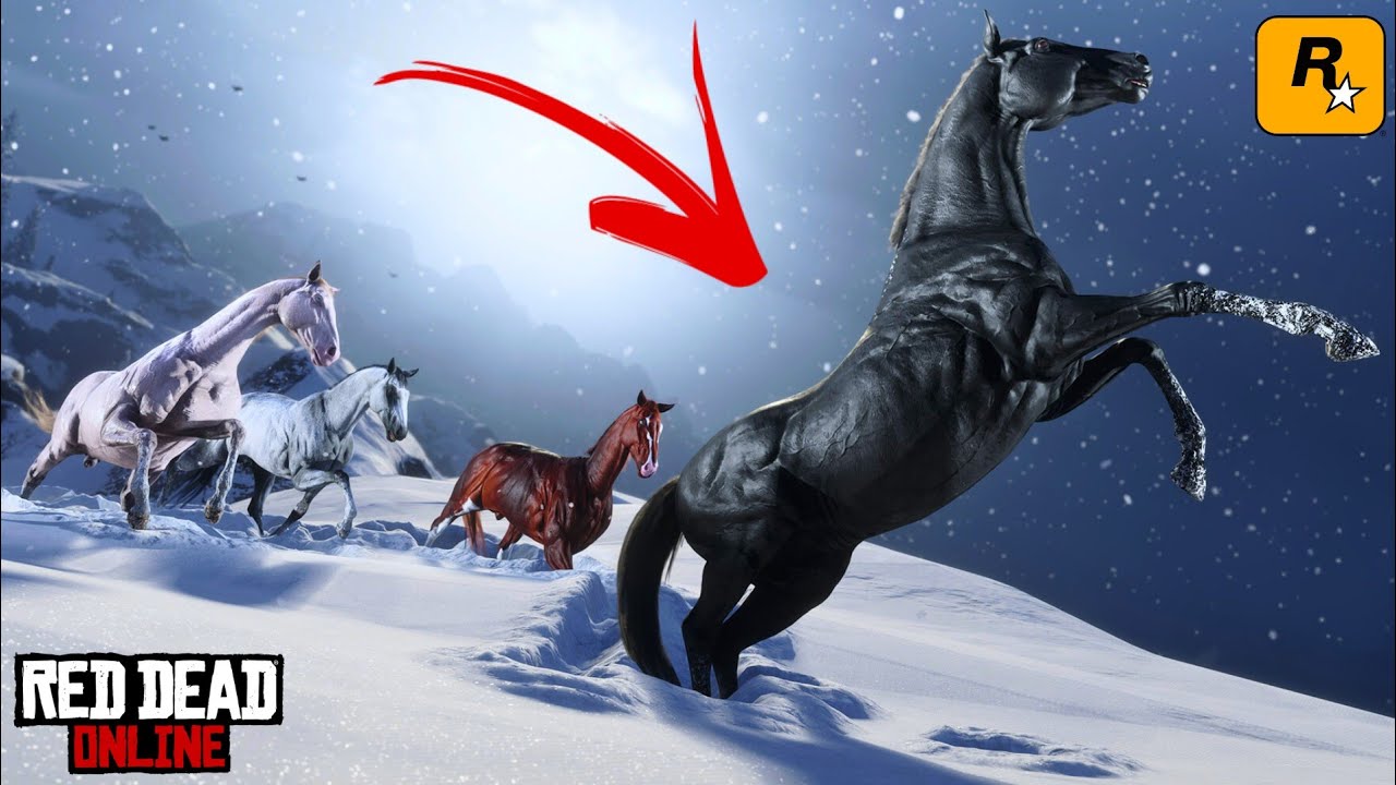 Top 3 Melhores Cavalos para Iniciantes em Red Dead Redemption 2 Online