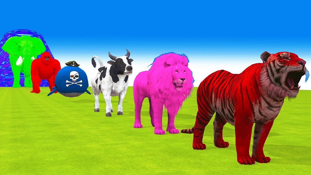 Long Slide Game With Elephant Gorilla Buffalo Hippopotamus Tiger 3d Animal Game Funny 3d Animals