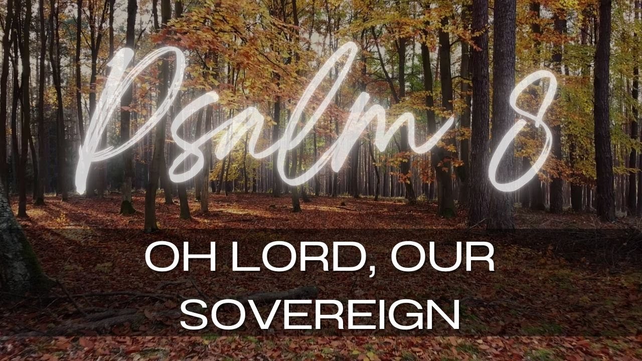 Psalm 8/ MUSIC/ Oh lord, OUR SOVEREIGN #christianmusic #music #god #bible #love #worship