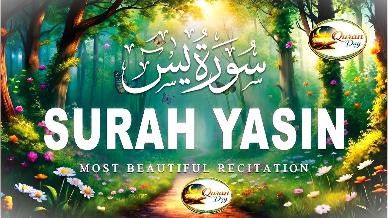 Surah Yasin | Quran Tilawat Beautiful Voice by - Alaa Aqel | سورة يس | #SurahYaseen