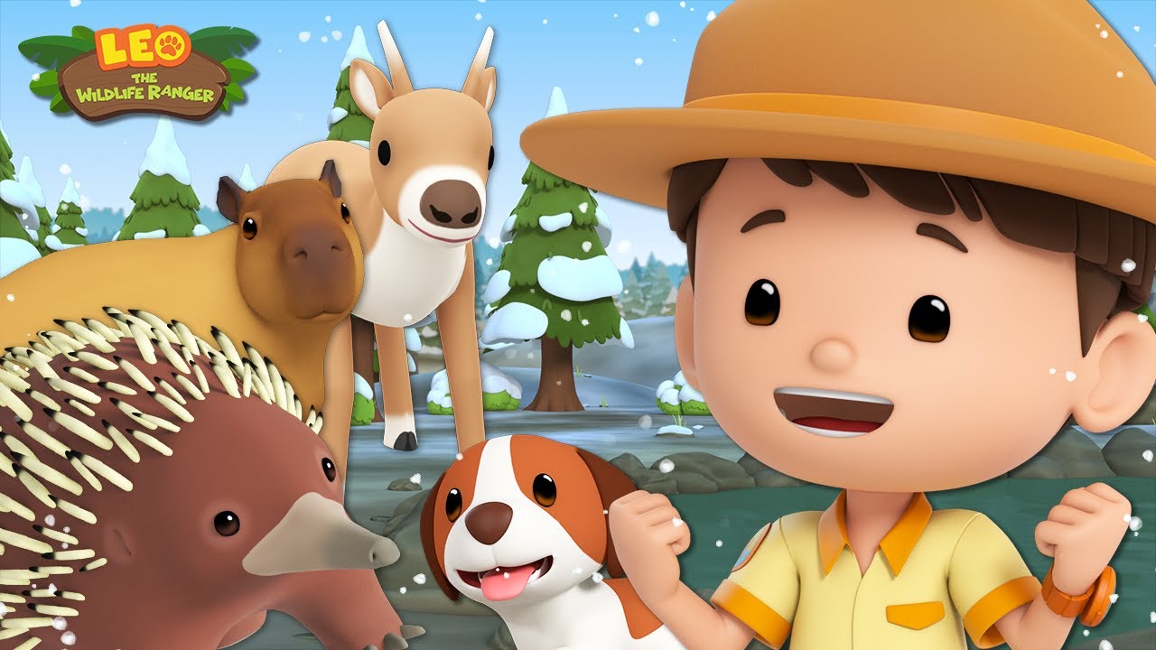 ❄️🎄 BEST WINTER ANIMALS! ☃️🌨️ Reindeers, Bears and more! 🐻 | Leo the Wildlife Ranger | Kids Cartoons