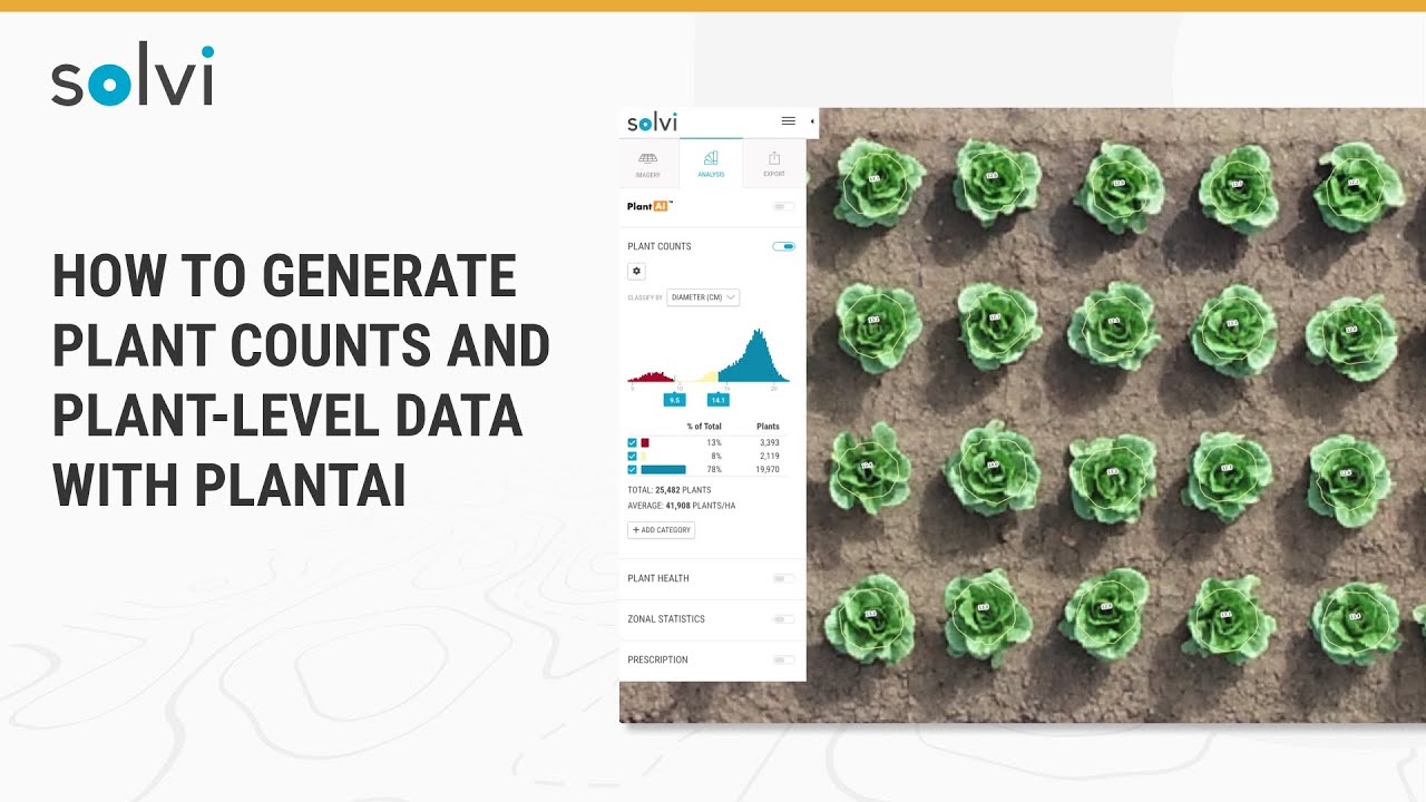 How to Generate Plant Counts and Plant-level Data with PlantAI