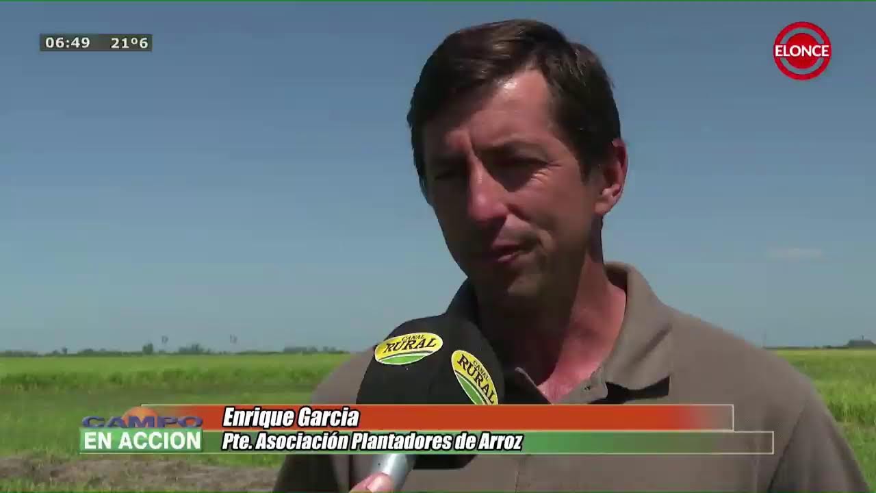 ELONCE EN VIVO
