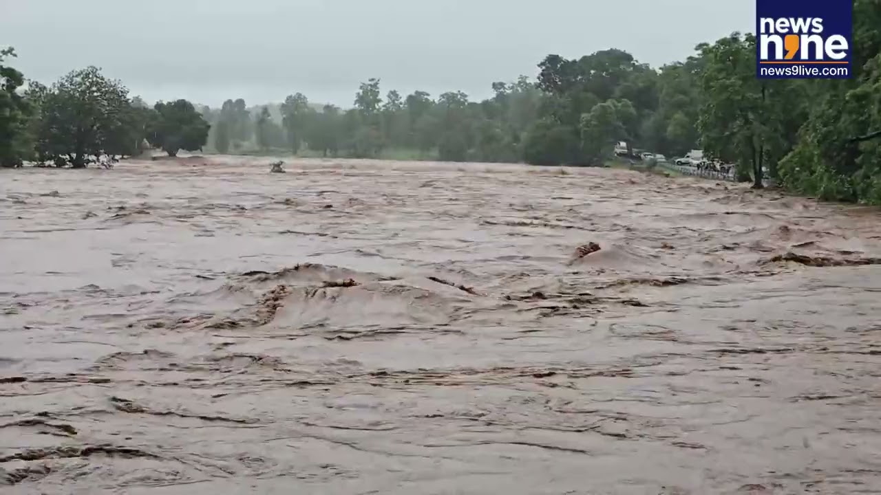 Gujarat Rain Alert: Heavy Rain Warning In Dang, Low-Lying Areas On Alert | News9