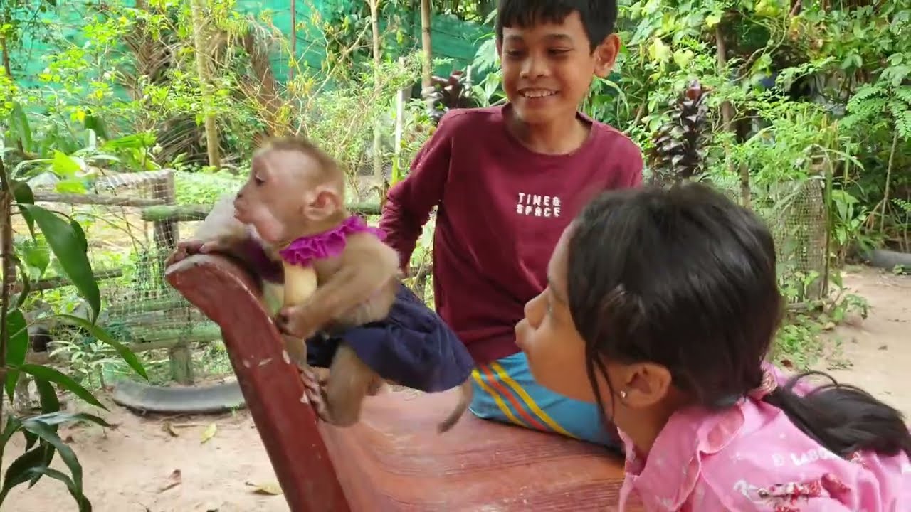 Lovely baby monkey Yoya, Yoya so cutie
