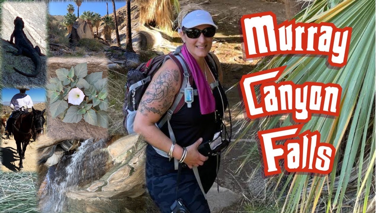 Murray Canyon to Seven Falls~Indian land~Palms Springs Canyons
