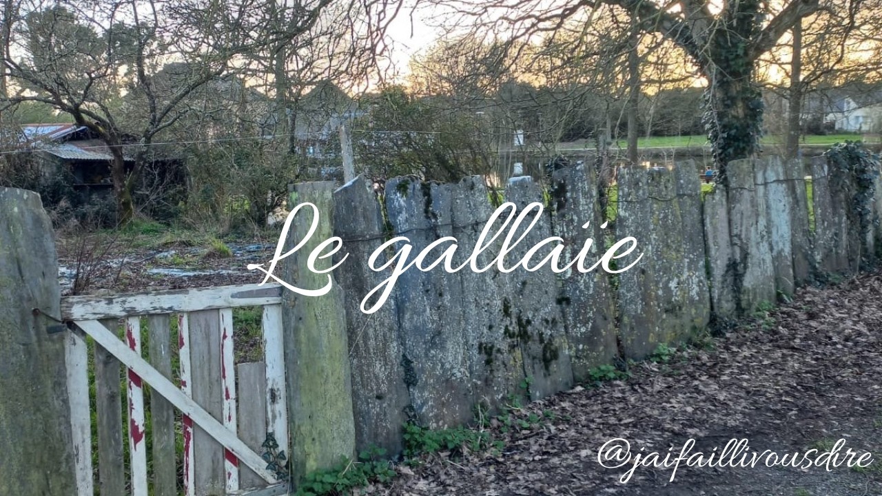 Le Gallaie