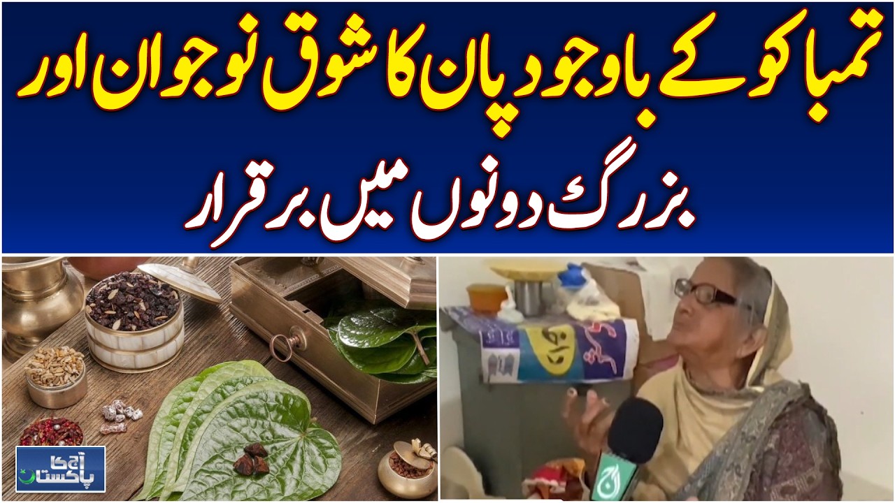 Pan Tradition in Pakistan | Cultural Heritage & Modern Trends | Karachi Farming - Aaj Pakistan News