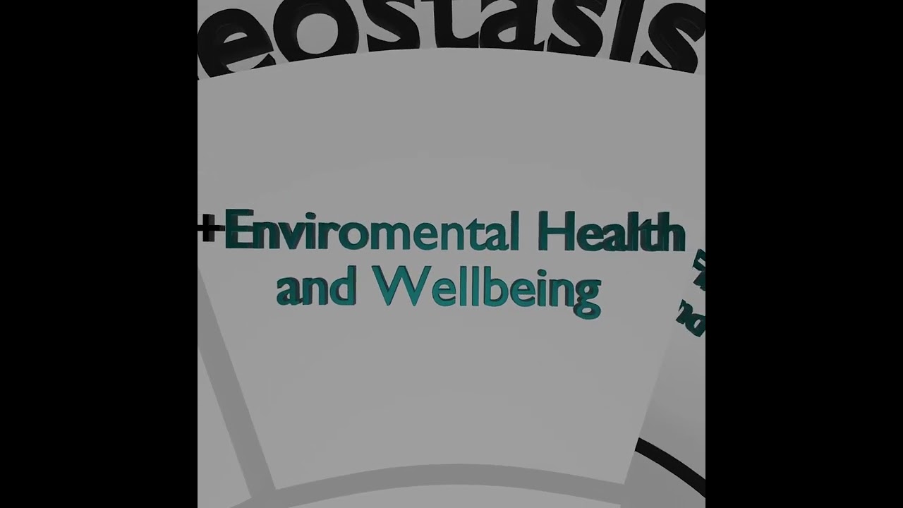 Integrative Sustainability Model (Clare Steffen, Ed.D., ND, CADC II)