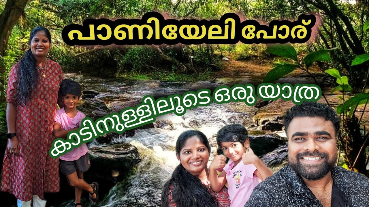 Secret Tourist Place in Ernakulam - Paniyeli Poru. പാണിയേലി പോര്..